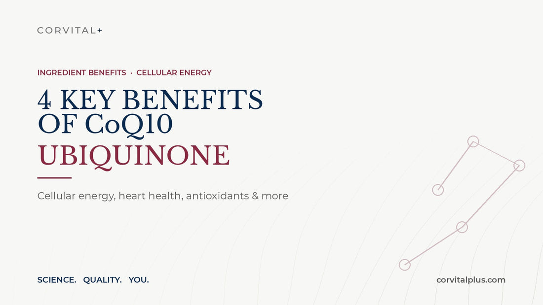 4 Key Benefits of CoQ10 Ubiquinone