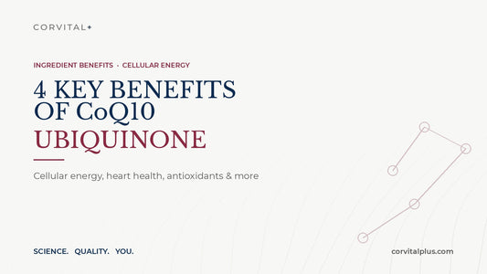 4 Key Benefits of CoQ10 Ubiquinone