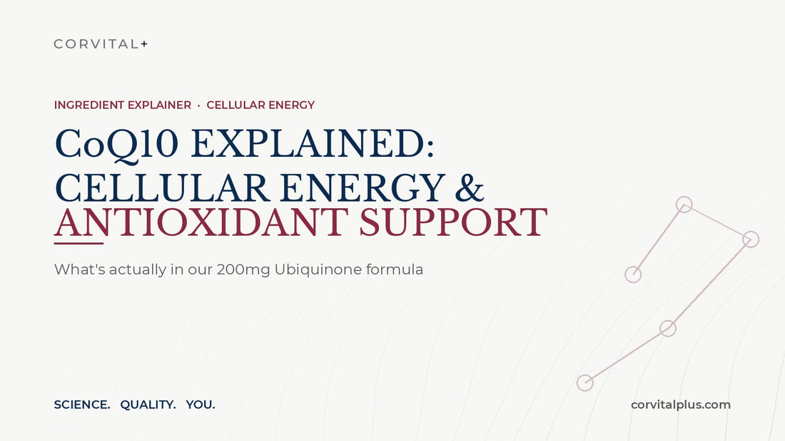 CoQ10 Explained: Inside Our Cellular Energy & Antioxidant Formula