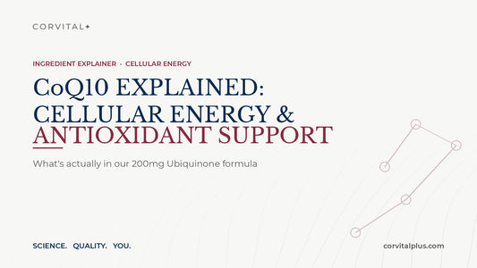 CoQ10 Explained: Inside Our Cellular Energy & Antioxidant Formula