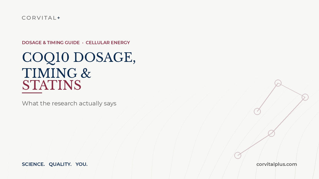 CoQ10 Dosage, Timing & Statins: What the Research Actually Says