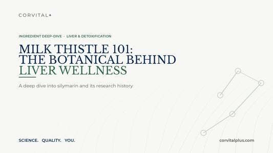 Milk Thistle 101: The Botanical Behind Liver Wellness