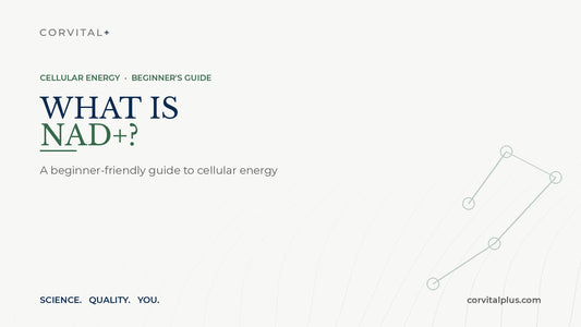 What Is NAD+? A Beginner's Guide to Cellular Energy