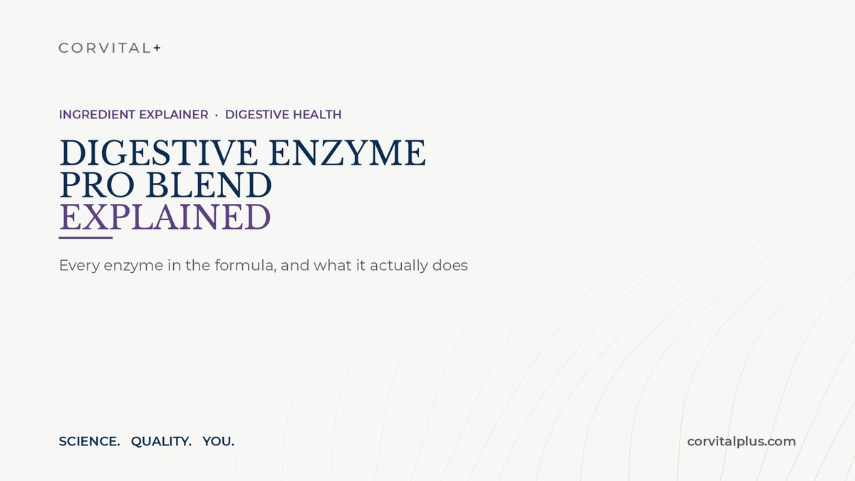 Digestive Enzyme Pro Blend Explained: Every Enzyme, and What It Does