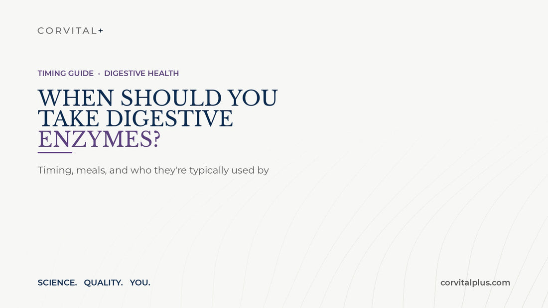 When Should You Take Digestive Enzymes? Timing Explained