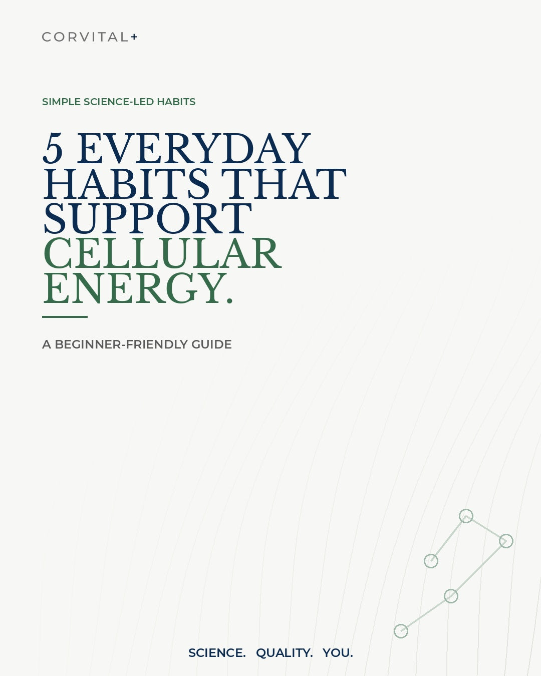 5 Everyday Habits That Support Cellular Energy