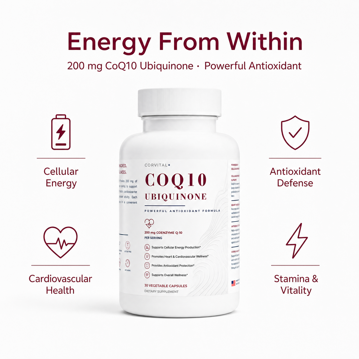 CoQ10 Ubiquinone